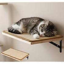 Amazon.co.jp: 猫 壁付け ステップ 一段 40cm×25cm 幅広タイプ